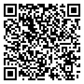 flashing lights游戏下载二维码