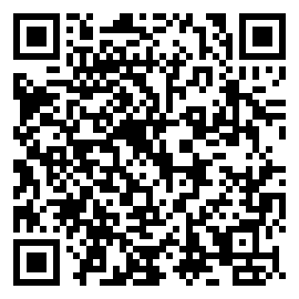 flashing lights游戏下载二维码